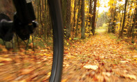 Take A Hike On Your Bike: Enjoy the Fall Foliage Cycling the Rail-Trails