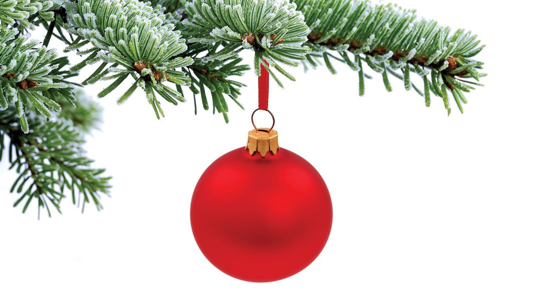 O Tannenbaum: A Christmas Tree Primer