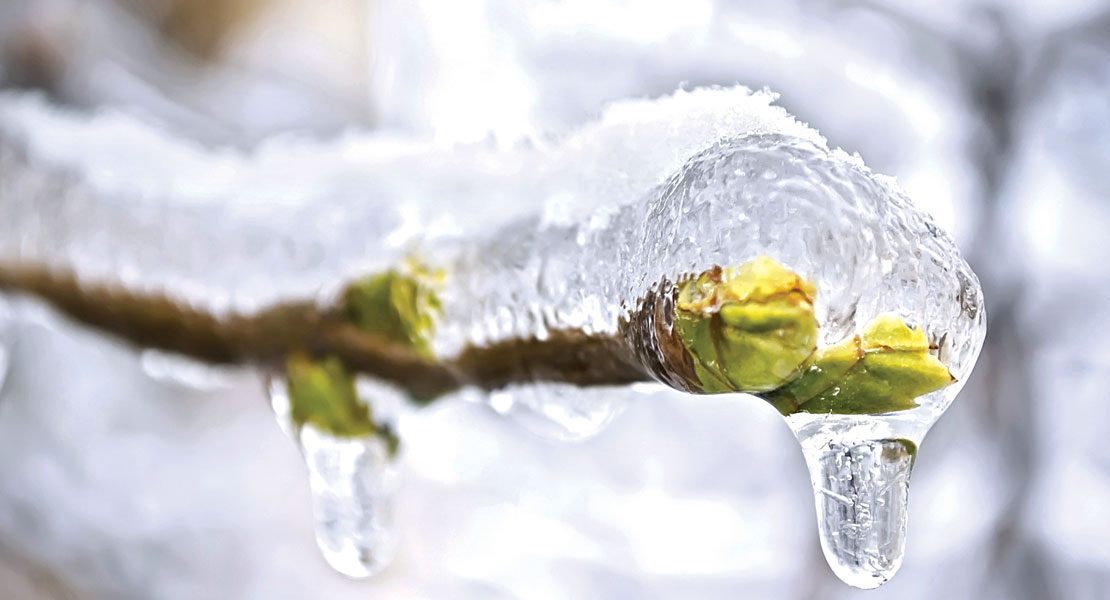 The Great Thaw and the Law:  5 Legal Issues to Watch Out for this Spring