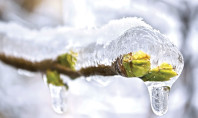 The Great Thaw and the Law:  5 Legal Issues to Watch Out for this Spring