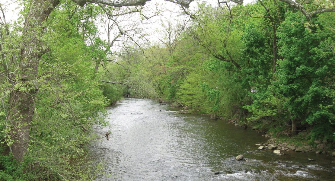 The Bushkill Stream Conservancy: Partnering for Conservation Success