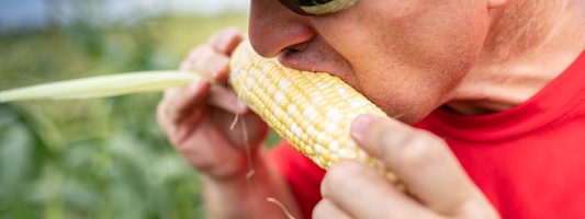 Get Fresh: Newhard Farms Corn Shed