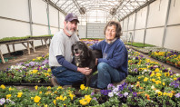 Buzas' Greenhouse and Farm