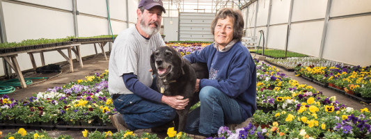 Buzas' Greenhouse and Farm