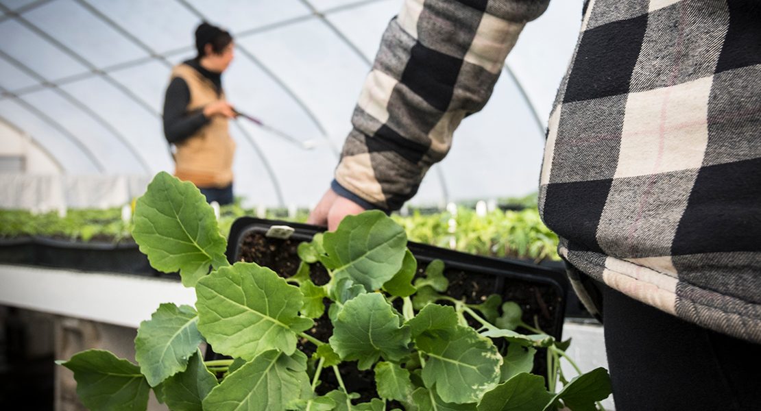 Day in the Life of Organic Farmer Lynn Trizna