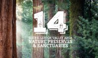 14 Scenic Lehigh Valley Area Nature Preserves & Sanctuaries