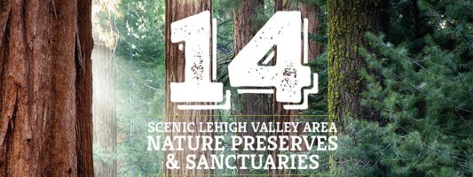 14 Scenic Lehigh Valley Area Nature Preserves & Sanctuaries