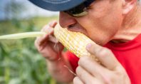 Get Fresh: Newhard Farms Corn Shed